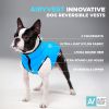Lightweight Reversible Winter Dog Coat XS Size Black Blue Warm Dog Jacket Water Resistant Windproof Dog Jacket for Small Dogs Comfortable Dog Vest